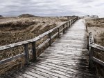 boardwalk across the beach