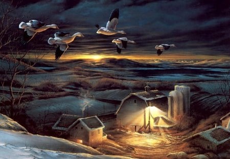 Night_Light_Wallpaper - snow, clouds, birds, light