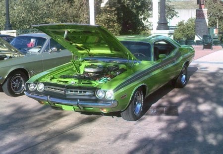 NICE CAR!!!!! - fast, cool, green, old