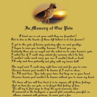 In Memory of Our Pets