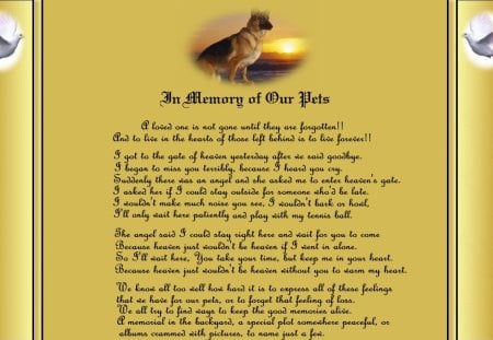 In Memory of Our Pets - usmc, marine corps, marines, recon