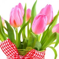 Spring is a delicate girlâ™¥