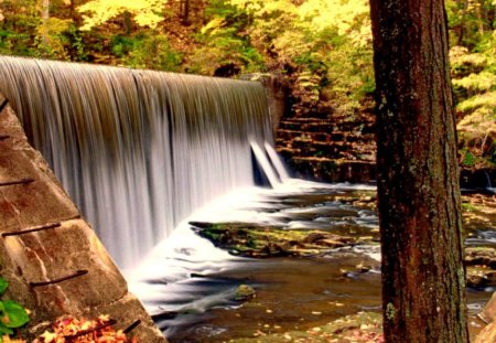 Creek waterfall - nice, autumn, peaceful, water, stream, waterfall, creek, wood, calm, fall, yellow, calmness, tree, branches, falling, summer, lovely, nature, forest, floating, beautiful, leaves, stones