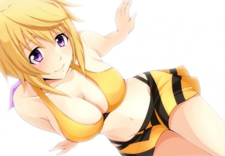 Dunois Charlotte - infinite stratos, pretty, anime, girl, cute