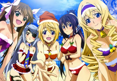 Huang Lil Yin, Bodewig Laura, Dunois Charlotte, Houki Shinono & Alcott Cecilia - girls, anime, pretty, infinite stratos