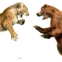 cave bear vs cave lion