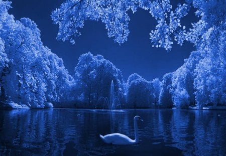 Swan_Wallpaper - water, swans, trees, blue