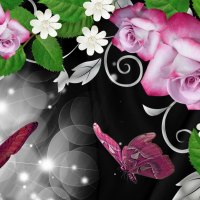 Pink Roses and Butterfly Shine