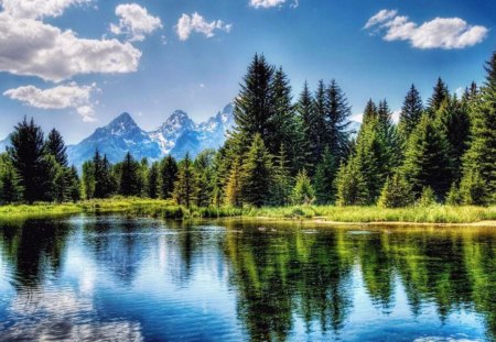 fir trees reflection - clouds, trees, water, mountains