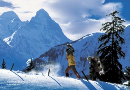 Hasliberg_Bernese - mountains, trees, clouds, snow