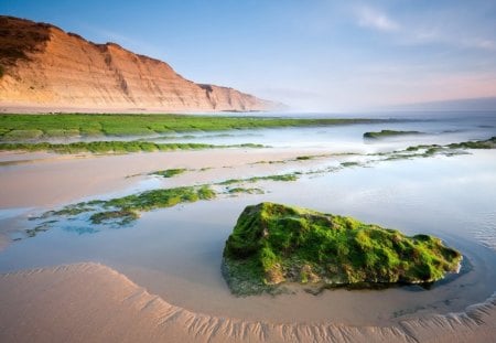 Oasis_in_the_Desert - rock, grass, water, nature