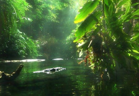 Serenity in Green - serene, nature, green, rivers