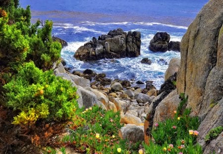 Coastal stones - pretty, summer, beach, bushes, grass, flowers, shore, nice, coastal, greenery, water, beautiful, slope, sea, beauty, lovely, ocean, stones, nature, green, waves, rocks