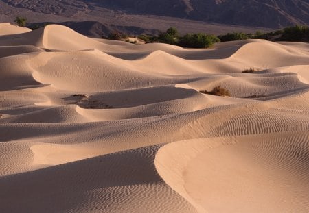 Desert - sand, desert, sun, hot