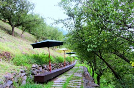 Refreshing footpath - footpath, parasol, refreshing, stone pavement, grass, lush green