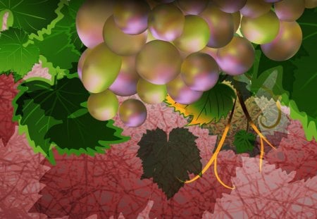 Grapes for Wine - vineyard, drink, autumn, pick, champagne, summer, ripe, wine, fruit, health, winery, fall, leaves, grapes