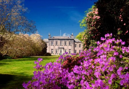 Castle in summer - beautiful, alleys, grass, bushes, castle, nature, park, purple, flowers, blue, sky, garden, sunny, europe, nice, clouds, lovely, green