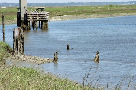 Pilings in river - carolina, river, south, bridge