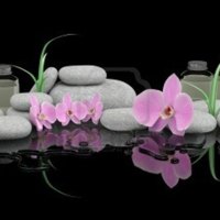 spa treatment concep