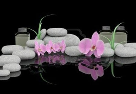 spa treatment concep - zen, orchid, bottles of essential, oil, stones