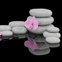 spa treatment concep