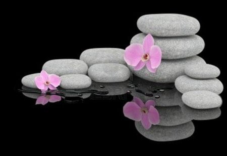 spa treatment concep - orchid, stones, spa, zen