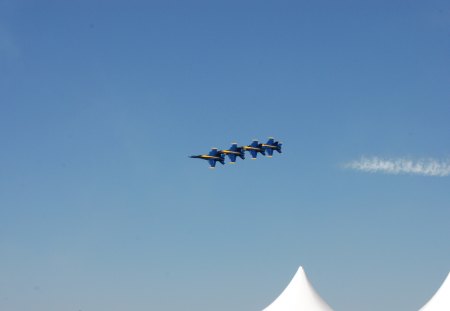 Blue Angels - aircraft, blue angels, airshow, military