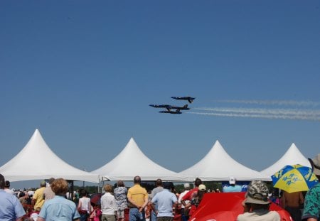 Blue Angels - aircraft, mikitary, blue angels, airshow