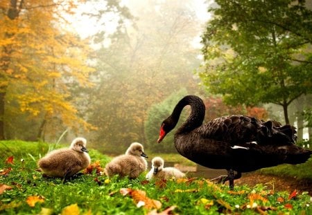 FAMILY_OUTING - birds, grass, trees, leaves