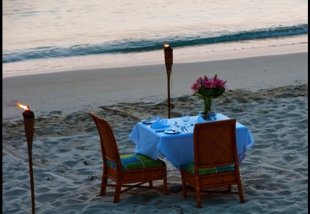 Dinner by the Sea - dinner, sea, nature, beach