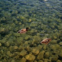 Clear Rocky Lake in New York