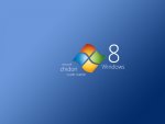 Windows 8