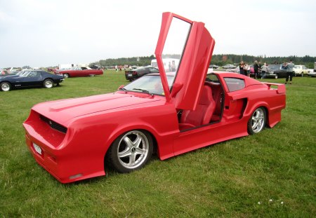 Nasco Yankee Meet 2012 - ford, grass, car, red