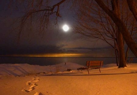 Moon_lit_lake - moon, lake, footprints, trees