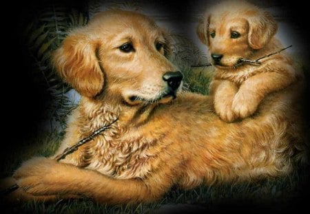 mother and baby - pets, cute, dogs, animals