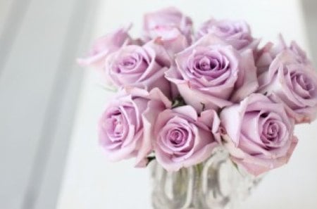 Lavender Love♥ - roses, lavender, forever, fashion, entertainment, love, bouquet, magnificent, floral