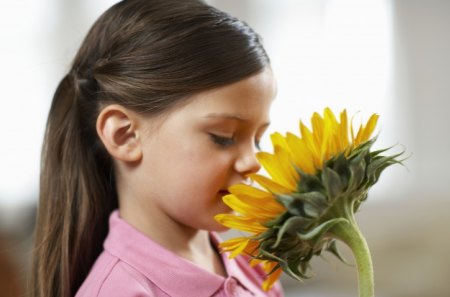 Sniffing SunFlowerâ™¥ - love, sunflower, innocence, girl, always, soft color, child, lovely, bright, nature, annie, forever, childhood, yellow, flowers, paste pink