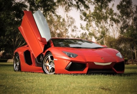 Lamborghini Aventador LP700-4 - nature, lamborghini, trees, cars, tuning, grass, aventador, lp700-4 cars