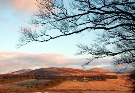 Brown Fields - great, nice, vivid, brown