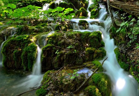 RIVER CASCADE - cascade, vegetation, forest, river