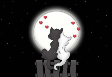 Kittys in Love !! - love, moonlight, animals, cats