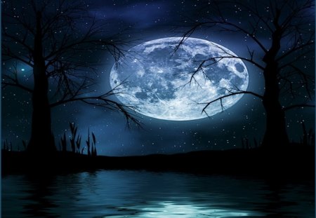 Moon_shadow_night - moon, trees, light, water