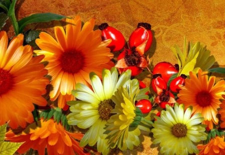 Lovely flowers - bouquet, daisies, orange, yellow, gerbera