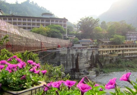 The suspension bridge of the hot spring area - tourist area, hotel, the suspension bridge, flowers, hot spring