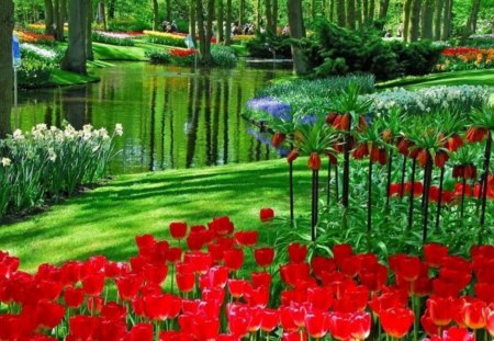 In Bloom - pic, colour, flowers, red, lake, color, trees, water, image, beautiful, bloom, tulips, nature, picture, green, park, wall, wallpaper