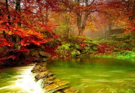 Forest creek - nice, autumn, trees, riverbank, peaceful, water, colorful, creek, rocks, calm, amazing, calmness, emerald, river, green, branches, shore, lovely, nature, forest, red, beautiful, leaves, stones