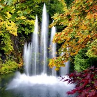 Fountain in forest