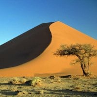 DUNE SHADOWS