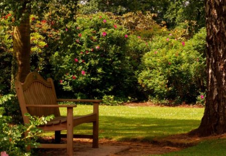 in a park - relax, greenery, trees, shrubs, benches, plants, in a park