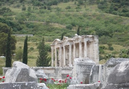 Turkey, Ephesus - summer, turkey, vegetation, poppies, collection of ancient rocks, ephesus, history, yew